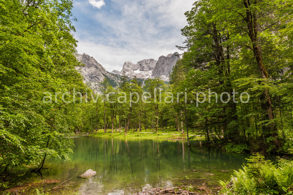 Preview Manuel_Capellari_CAP120624142240162162.jpg