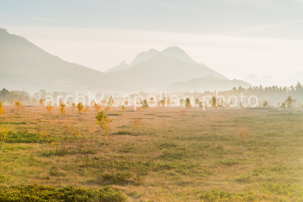 Preview Manuel_Capellari_CAP1314748.jpg