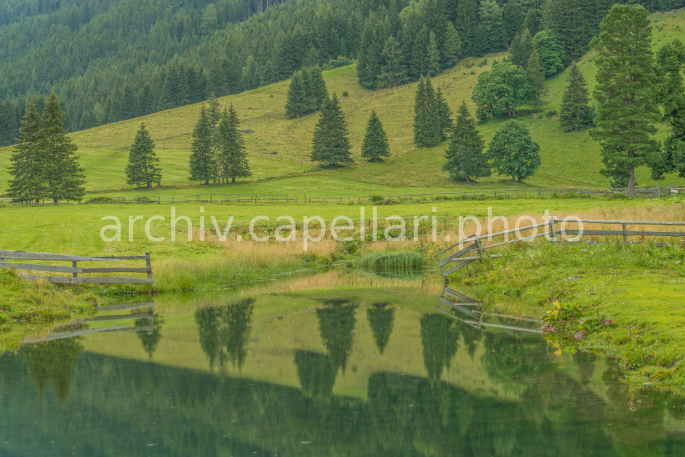 Preview Manuel_Capellari_CAP160811201352377377.jpg