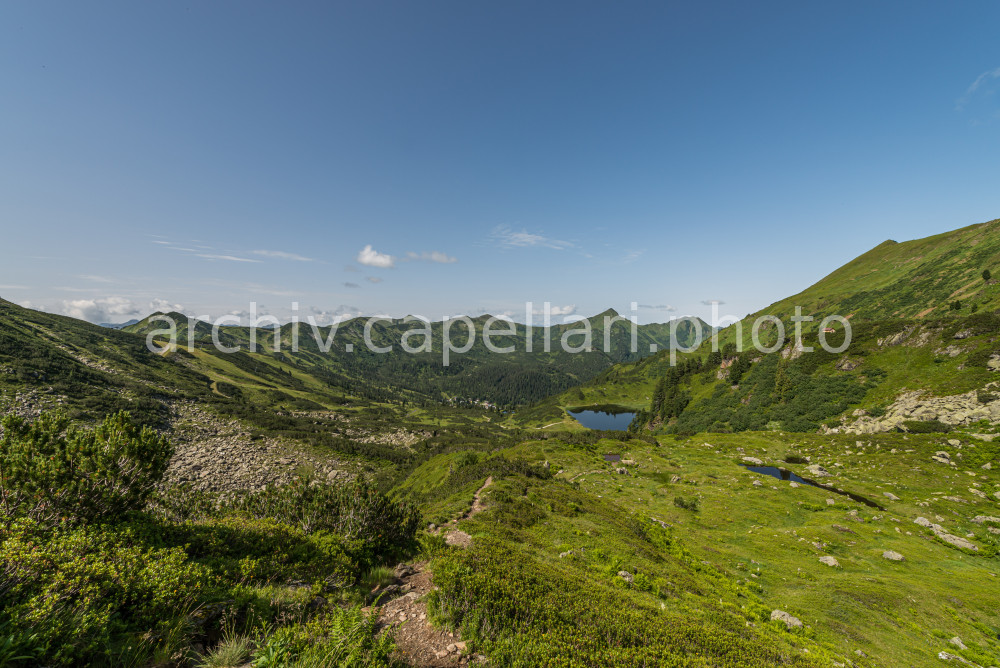 Preview Manuel_Capellari_CAP1621075.jpg