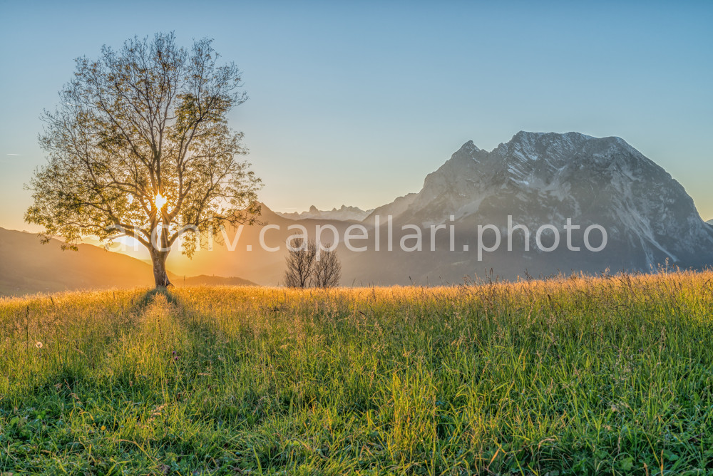 Preview Manuel_Capellari_CAP17101548472.jpg