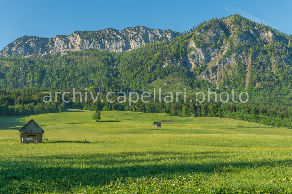 Preview Manuel_Capellari_CAP180513064720858858.jpg