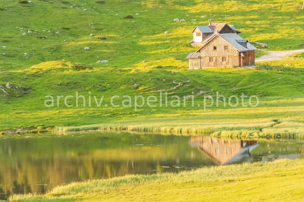 Preview Manuel_Capellari_CAP180615191808891891.jpg