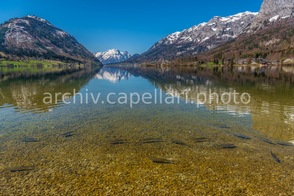 Preview Manuel_Capellari_CAP19042010560512171217.jpg