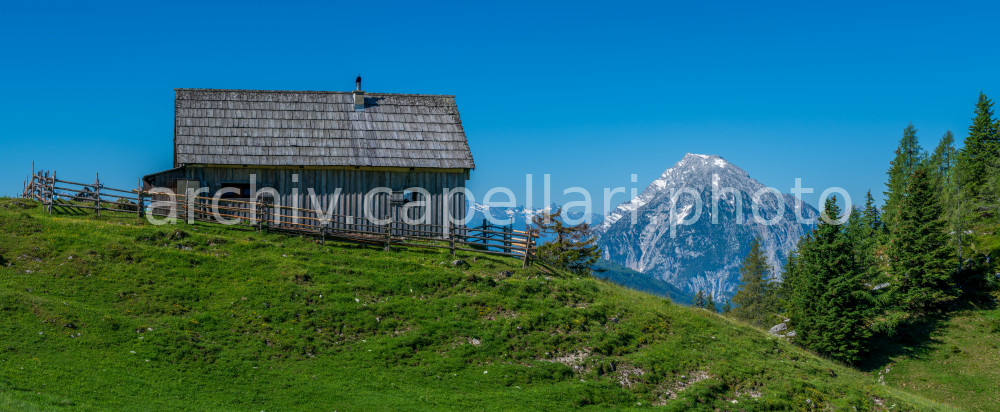 Preview Manuel_Capellari_CAP19063008244013601360.jpg
