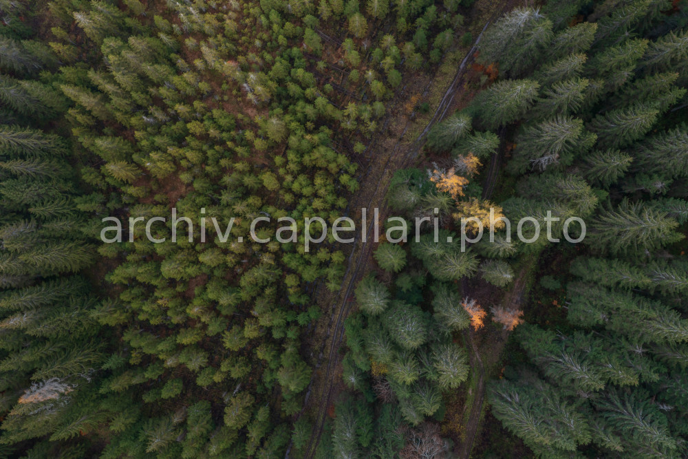 Preview Manuel_Capellari_CAP2010311546427451.jpg