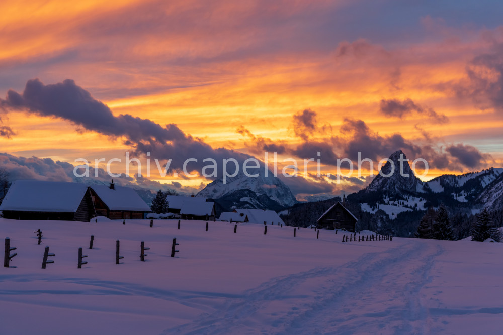 Preview Manuel_Capellari_CAP21012416564713.jpg