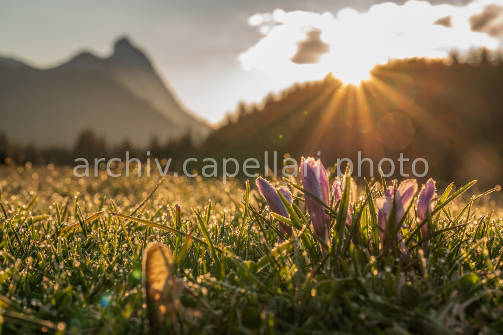 Preview Manuel_Capellari_CAP2105080626551463.jpg