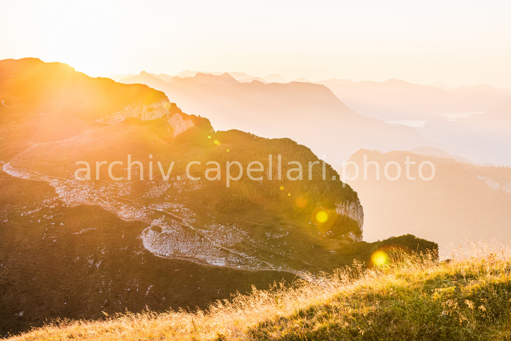 Preview Manuel_Capellari_CAP2109241847101177.jpg