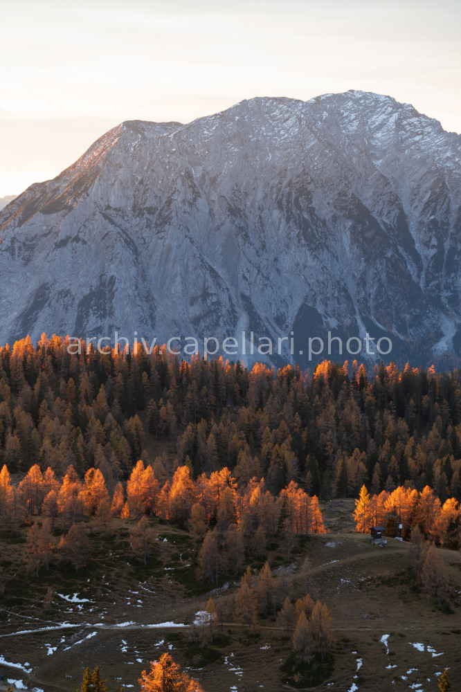 Preview Manuel_Capellari_CAP2110310755001355.jpg