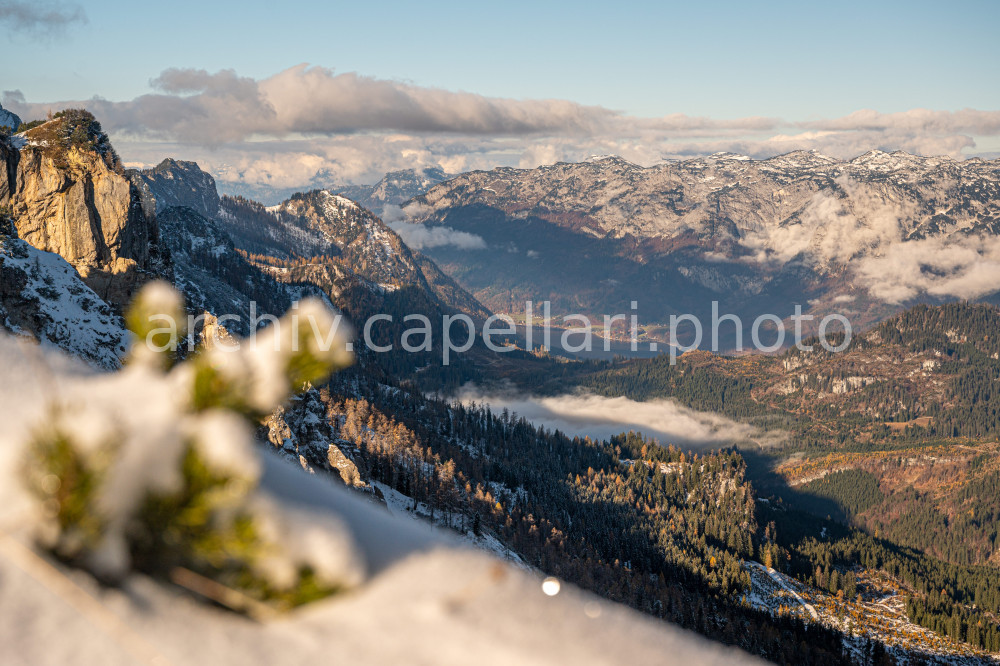 Preview Manuel_Capellari_CAP2111061039482.jpg
