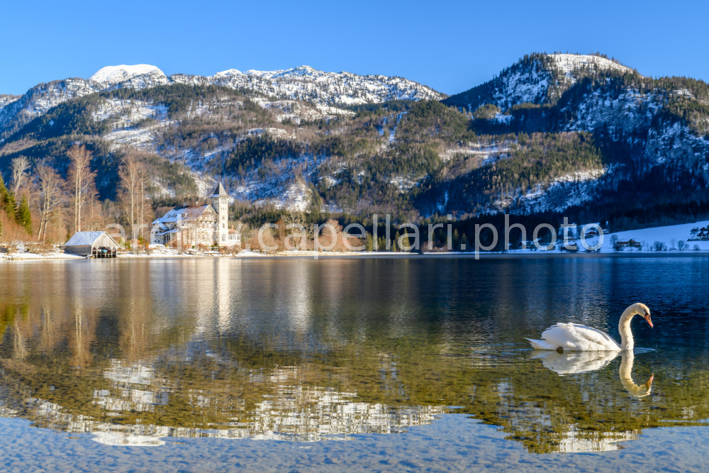 Preview Manuel_Capellari_CAP2501191445301.jpg